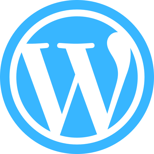 Wordpress Agentur - Website-Entwicklung